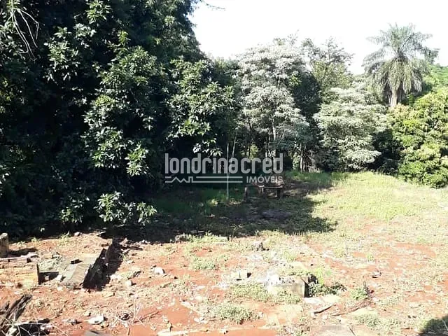 Terreno com 5000m², à venda, no bairro Parque Jamaica em Londrina