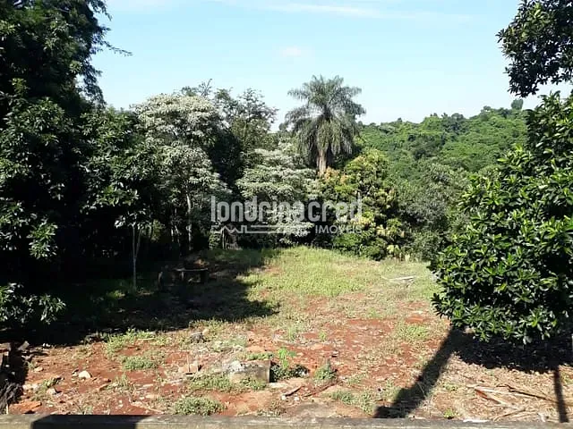Terreno com 5000m², à venda, no bairro Parque Jamaica em Londrina
