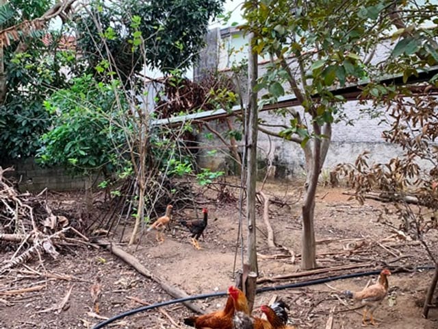 Terreno com 250m², à venda, no bairro Residencial Mombaça em Pindamonhangaba