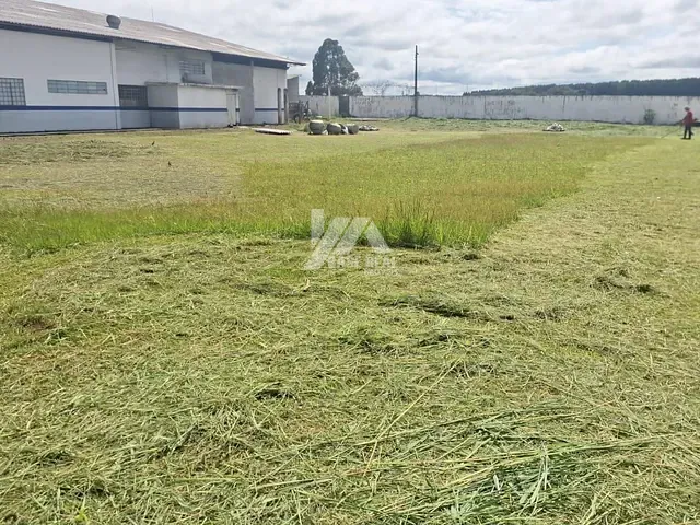 Terreno com 2000m², para alugar, no bairro Imóvel Morro Alto em Guarapuava