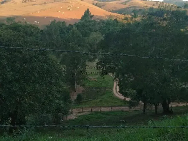 Terreno com 10000m², à venda, no bairro Toca Do Leitão em Santa Branca