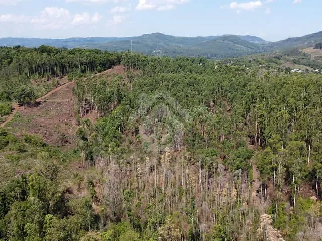 Terreno com 48000m², à venda, no bairro Centro em Paverama