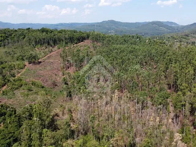 Terreno com 48000m², à venda, no bairro Centro em Paverama