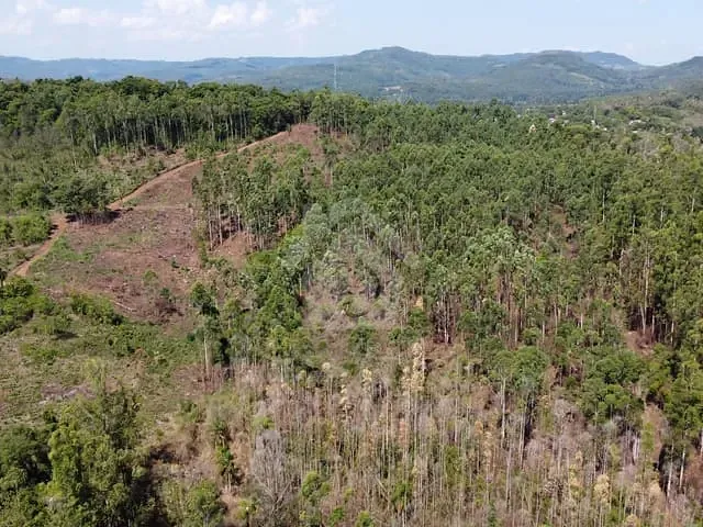 Terreno com 48000m², à venda, no bairro Centro em Paverama