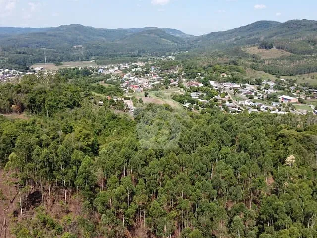 Terreno com 48000m², à venda, no bairro Centro em Paverama
