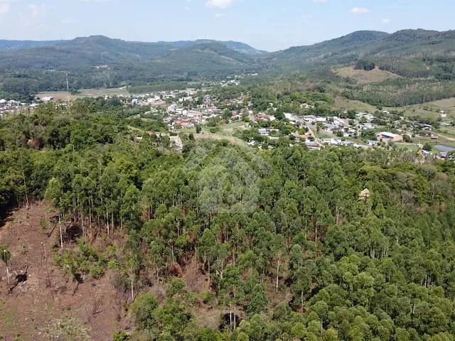 Terreno com 48000m², à venda, no bairro Centro em Paverama