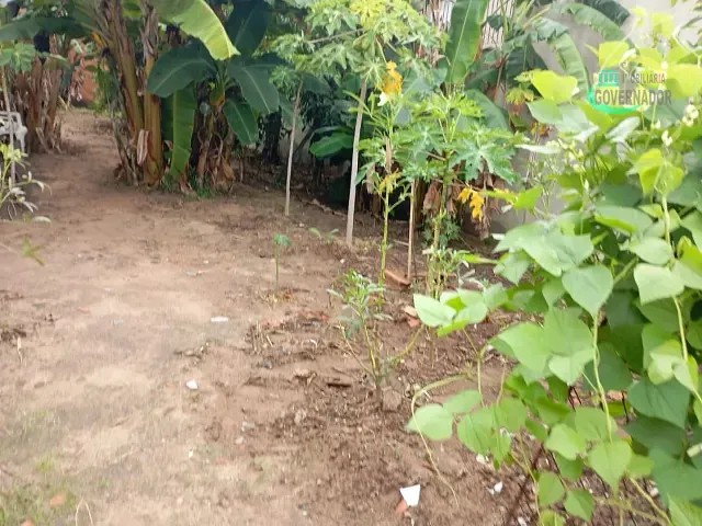 Terreno com 175m², à venda, no bairro Jardim Uruguai em Campinas