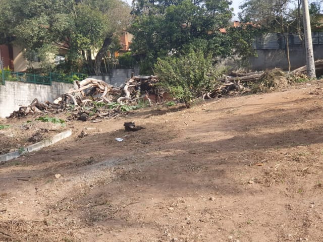 Foto do Terreno - Terreno residencial para venda em Parque Munhoz, 981m² | Lares e Andares Imóveis