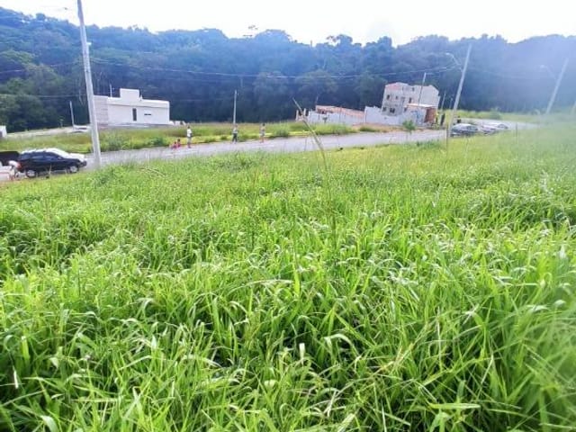 Foto do Terreno - Terreno à venda, 125 m² por R$ 180.000,00 - Jardim Atalaia - Cotia/SP | Pitale Imóveis Ltda.