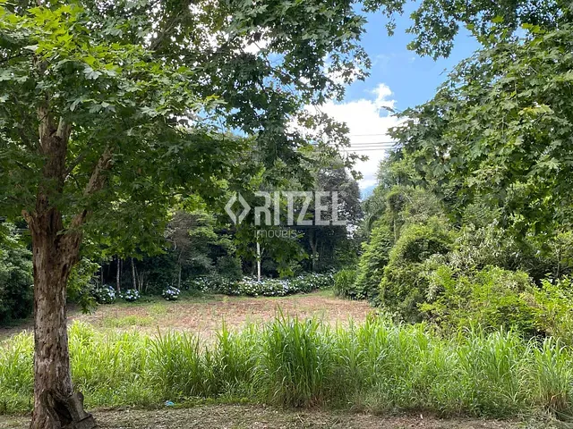 Terreno com 7800m², à venda, no bairro travessão em Dois Irmãos