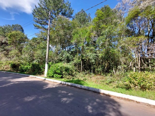 Terreno com 2440m², à venda, no bairro São Bernardo em São Francisco de Paula