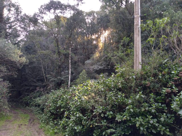 Terreno com 2440m², à venda, no bairro São Bernardo em São Francisco de Paula