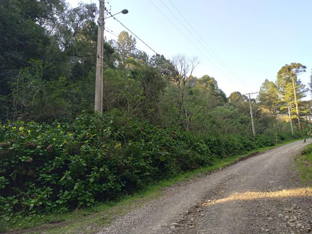 Terreno com 2440m², à venda, no bairro São Bernardo em São Francisco de Paula