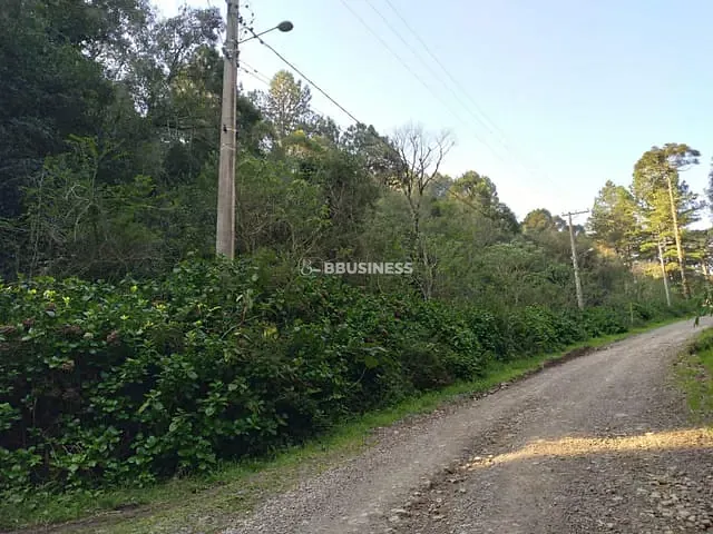 Terreno com 2440m², à venda, no bairro São Bernardo em São Francisco de Paula