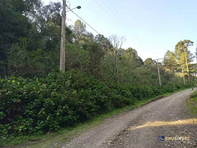 Terreno com 2440m², à venda, no bairro São Bernardo em São Francisco de Paula