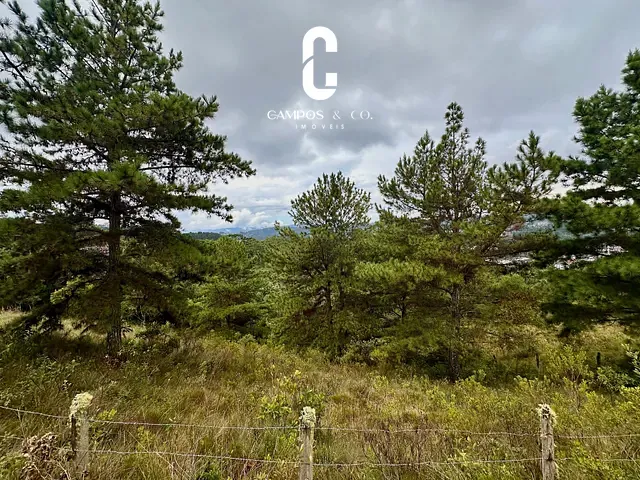 Terreno com 1267m², à venda, no bairro Atalaia em Campos do Jordão