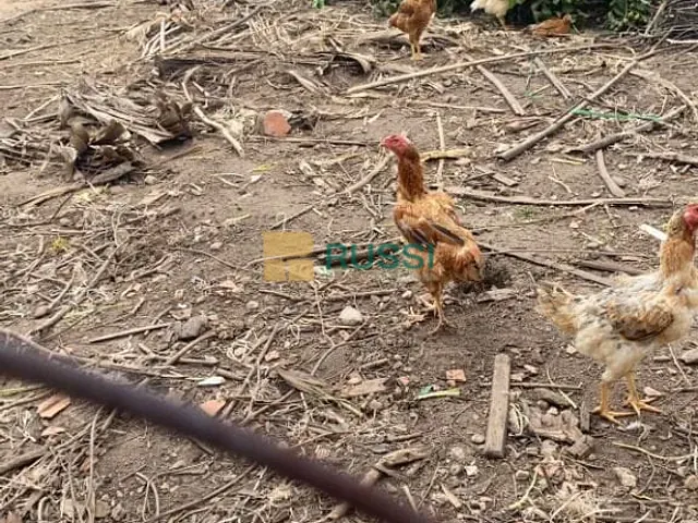 Terreno com 300m², à venda, no bairro Jardim San Marino em São José dos Campos