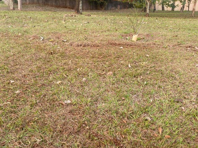 Terreno com 1085m², à venda, no bairro Jardim União em Cambé