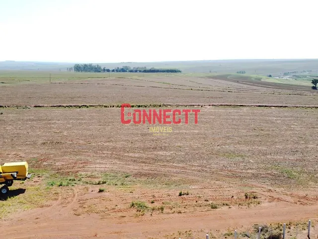 Terreno com 5662800m², à venda, no bairro Presidente Epitacio em Presidente Epitácio