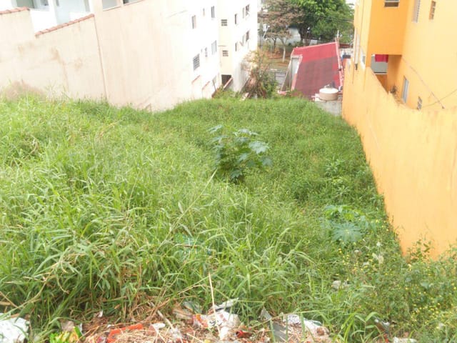 Foto do Terreno - Terreno residencial à venda, Cidade Antônio Estevão de Carvalho, São Paulo. | ZONA LESTE IMÓVEIS