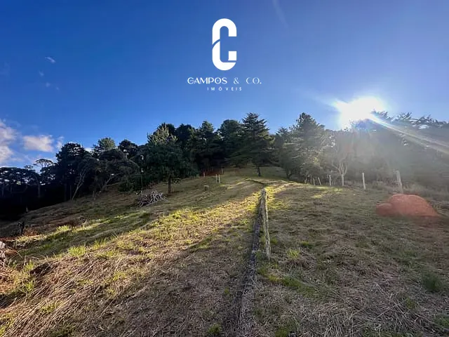 Terreno com 6488m², à venda, no bairro Parque das Águas Claras em Campos do Jordão