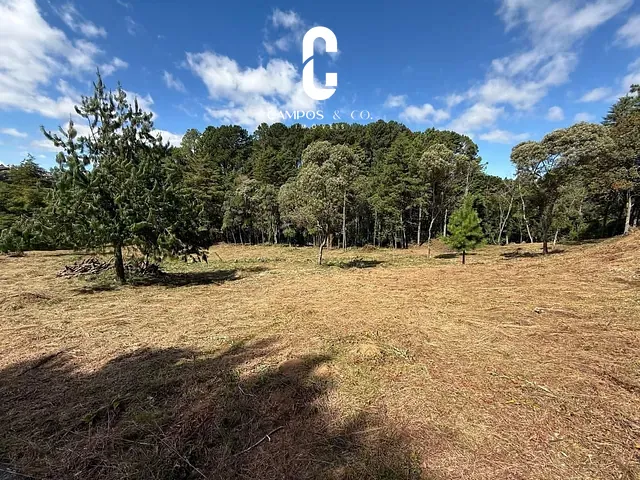 Terreno com 6488m², à venda, no bairro Parque das Águas Claras em Campos do Jordão