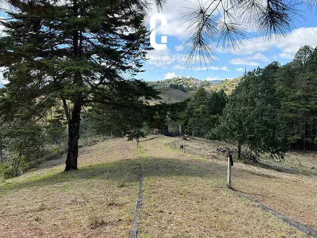 Terreno com 6488m², à venda, no bairro Parque das Águas Claras em Campos do Jordão