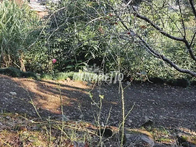 Terreno com 957m², à venda, no bairro Centro  em Ipira