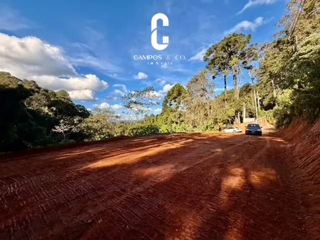 Terreno com 6000m², à venda, no bairro Vila Floresta em Campos do Jordão