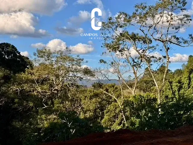 Terreno com 6000m², à venda, no bairro Vila Floresta em Campos do Jordão