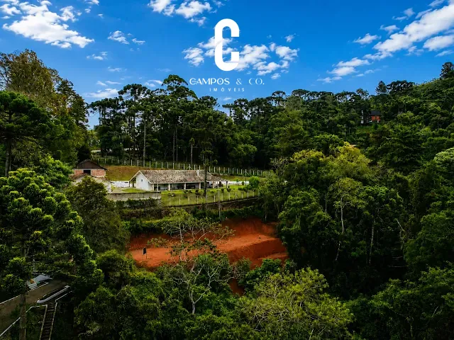 Terreno com 6000m², à venda, no bairro Vila Floresta em Campos do Jordão