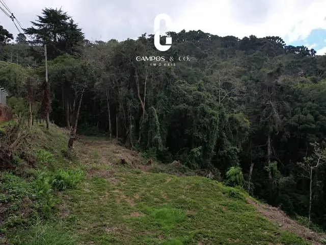 Terreno com 6000m², à venda, no bairro Vila Floresta em Campos do Jordão