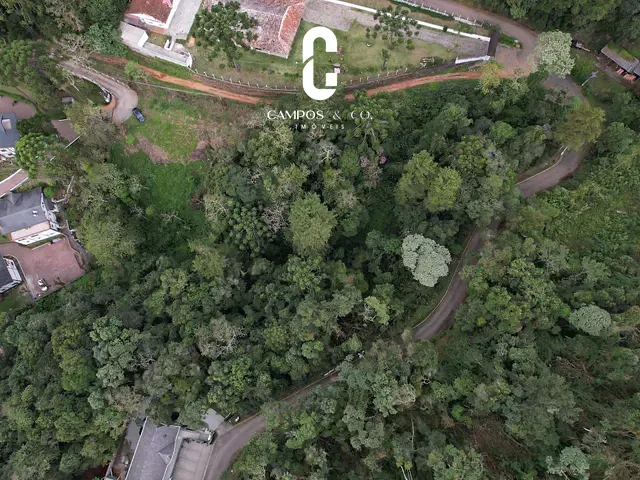 Terreno com 6000m², à venda, no bairro Vila Floresta em Campos do Jordão
