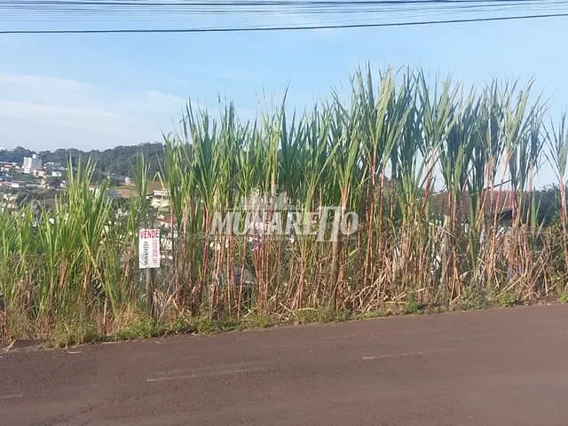 Terreno com 322m², à venda, no bairro Nações em Concórdia