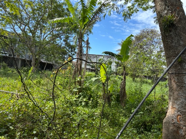 Terreno com 1000m², à venda, no bairro Maitinga em Bertioga