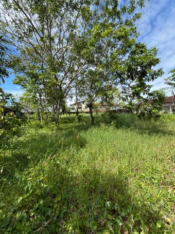 Terreno com 1000m², à venda, no bairro Maitinga em Bertioga