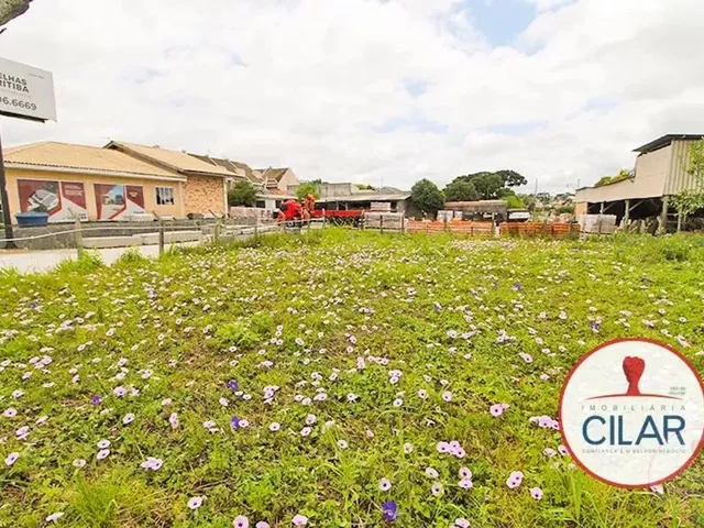 Terreno com 768m², para alugar, no bairro Jardim das Américas em Curitiba