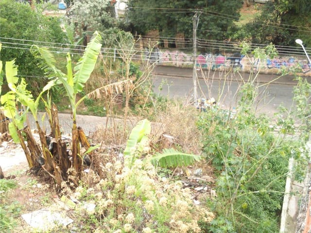 Foto do Terreno - Terreno residencial à venda, Vila Santa Cruz, São Paulo. | ZONA LESTE IMÓVEIS