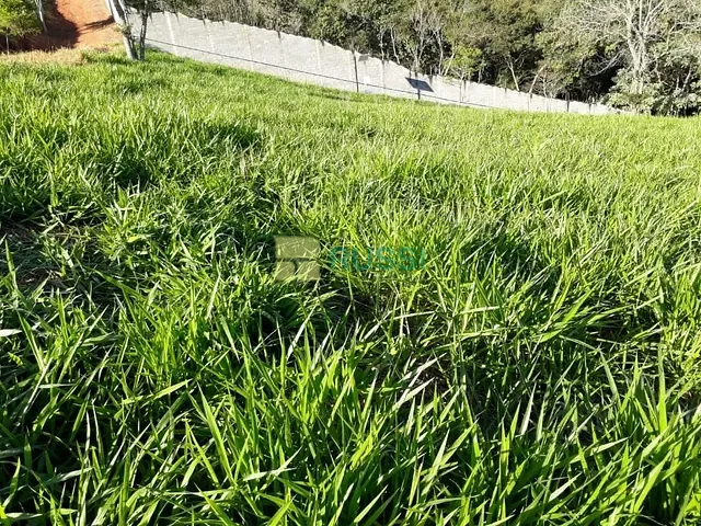 Terreno com 1041m², à venda, no bairro Tapanhão em Jambeiro