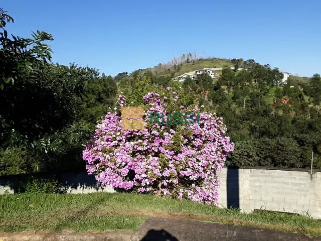 Terreno com 1041m², à venda, no bairro Tapanhão em Jambeiro