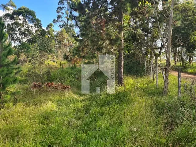 Terreno com 23000m², à venda, no bairro Chácara Ivoturucaia em Campo Limpo Paulista
