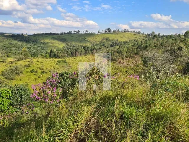 Terreno com 23000m², à venda, no bairro Chácara Ivoturucaia em Campo Limpo Paulista