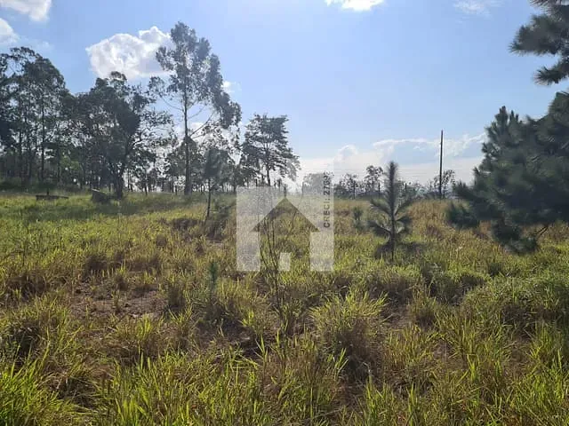 Terreno com 23000m², à venda, no bairro Chácara Ivoturucaia em Campo Limpo Paulista