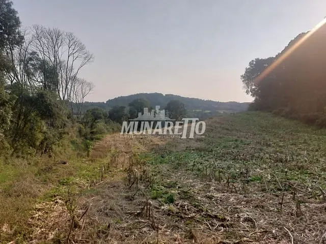 Terreno com 250000m², à venda, no bairro Interior em Presidente Castelo Branco