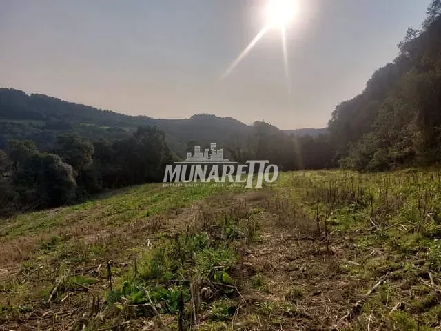 Terreno com 250000m², à venda, no bairro Interior em Presidente Castelo Branco