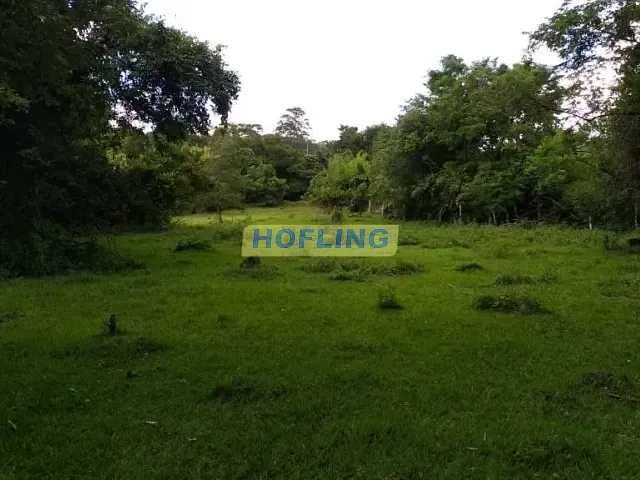 Terreno com 24767m², à venda, no bairro Jardim Novo em Rio Claro