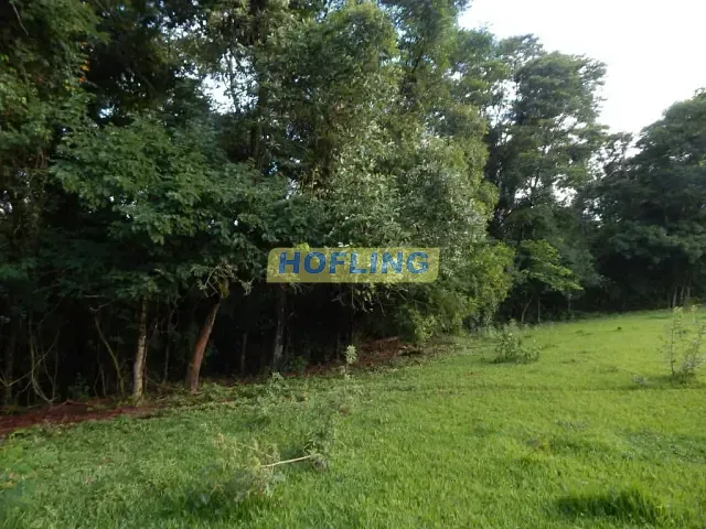 Terreno com 24767m², à venda, no bairro Jardim Novo em Rio Claro