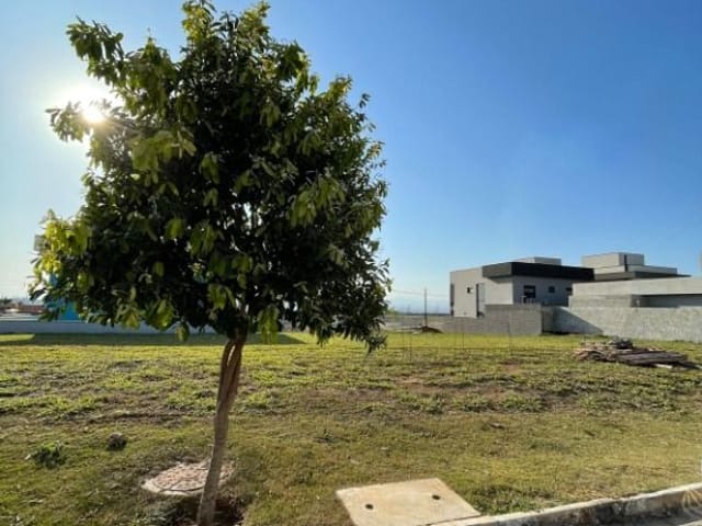 Foto do Terreno - Terreno à venda, 250 m² por R$ 395.000,00 - Bairro da Floresta - São José dos Campos/SP | INDEPENDENCE NEGOCIOS IMOBILIARIOS LTDA