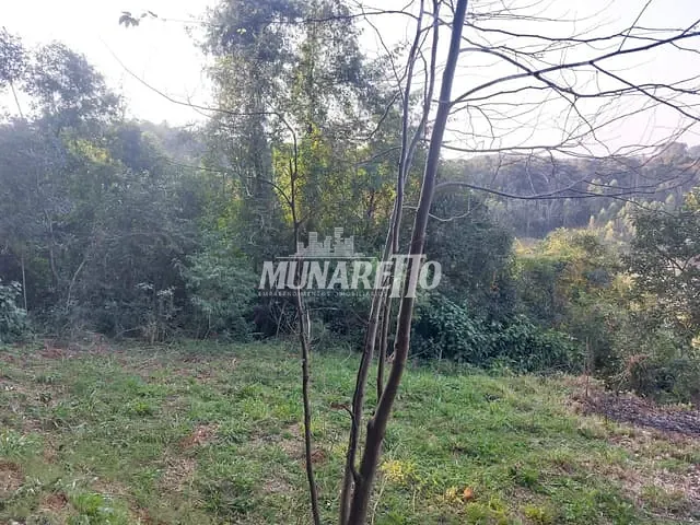 Terreno com 439m², à venda, no bairro Vila Jacob Biezus em Concórdia