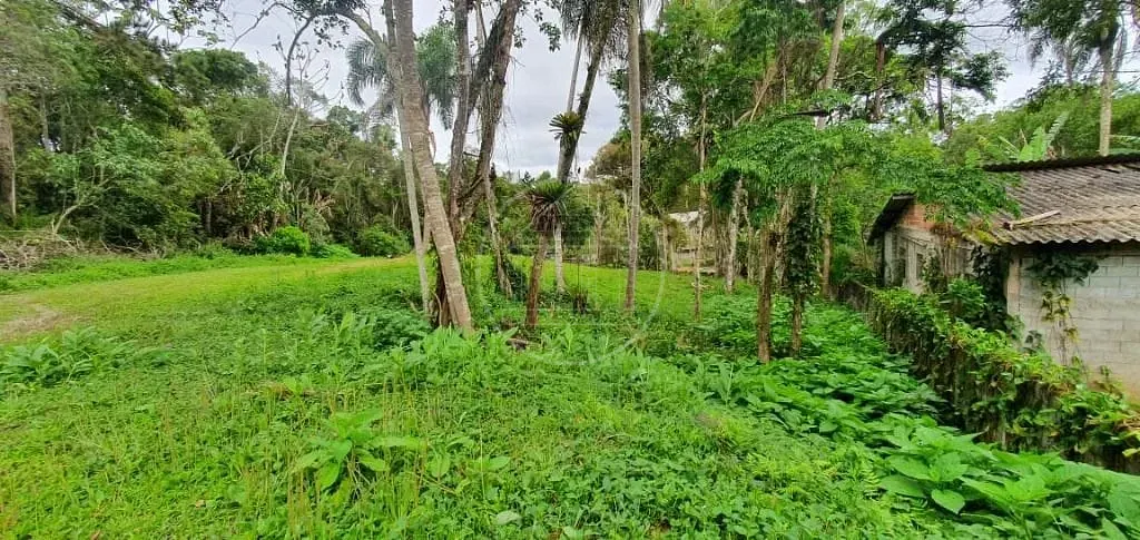 Terreno, 1200 m² - Foto 3